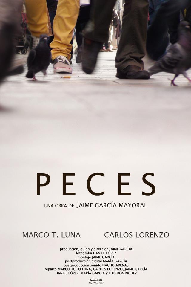 558317_268342369933642_964804544_n