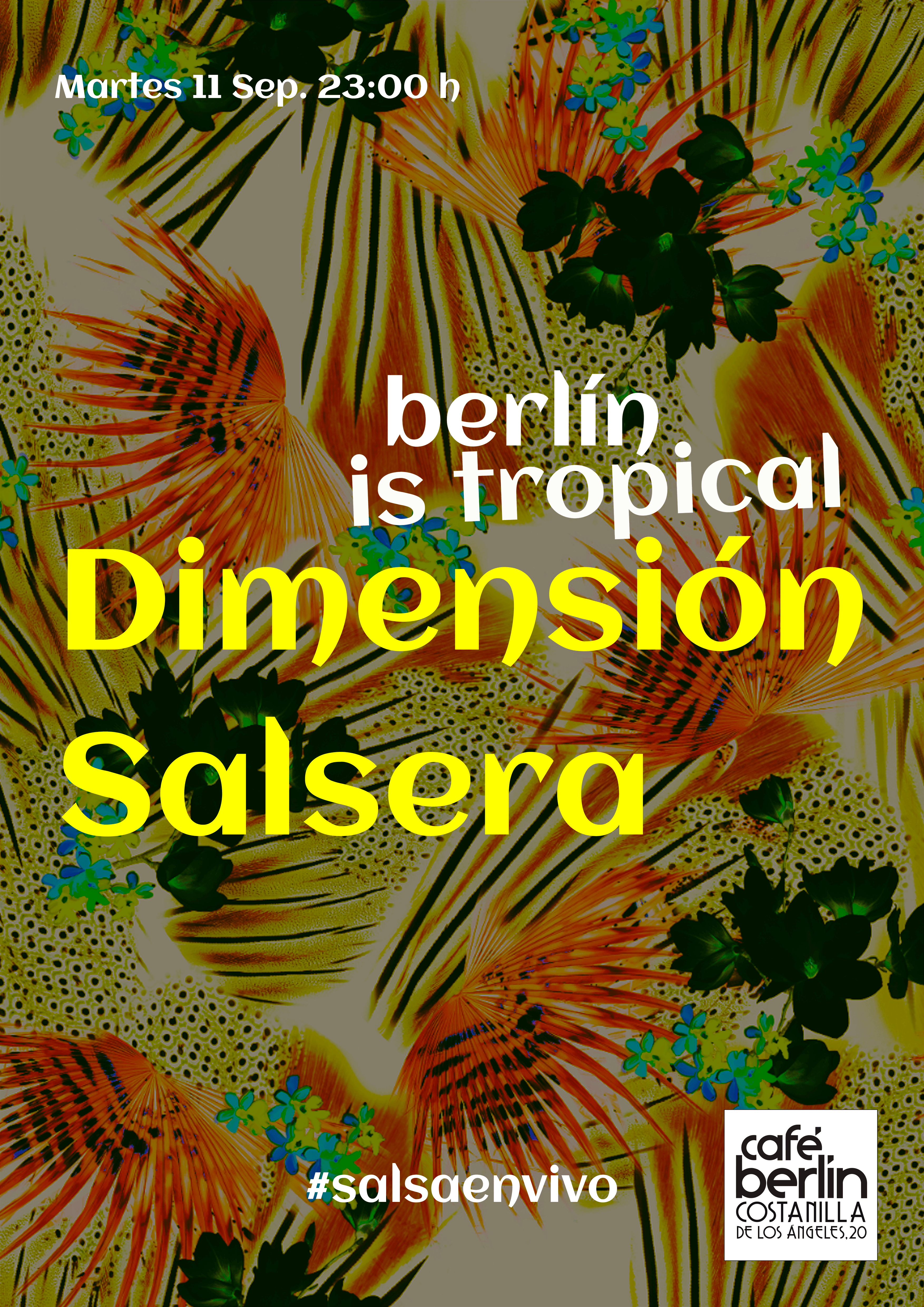 dimension Salsera copy.png